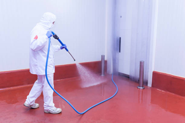 Best Boat and Dock Cleaning  in College Station, TX